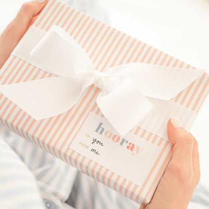 Bundle 5