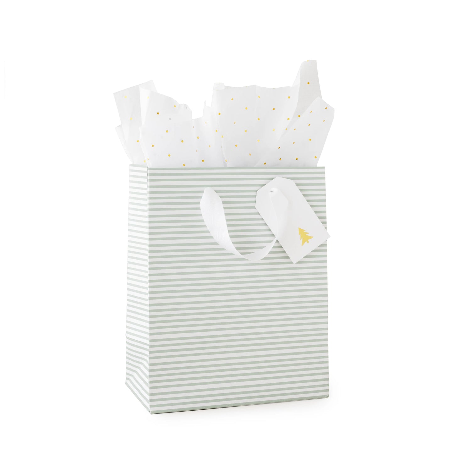 Green Painted Stripe Gift Bag Set
