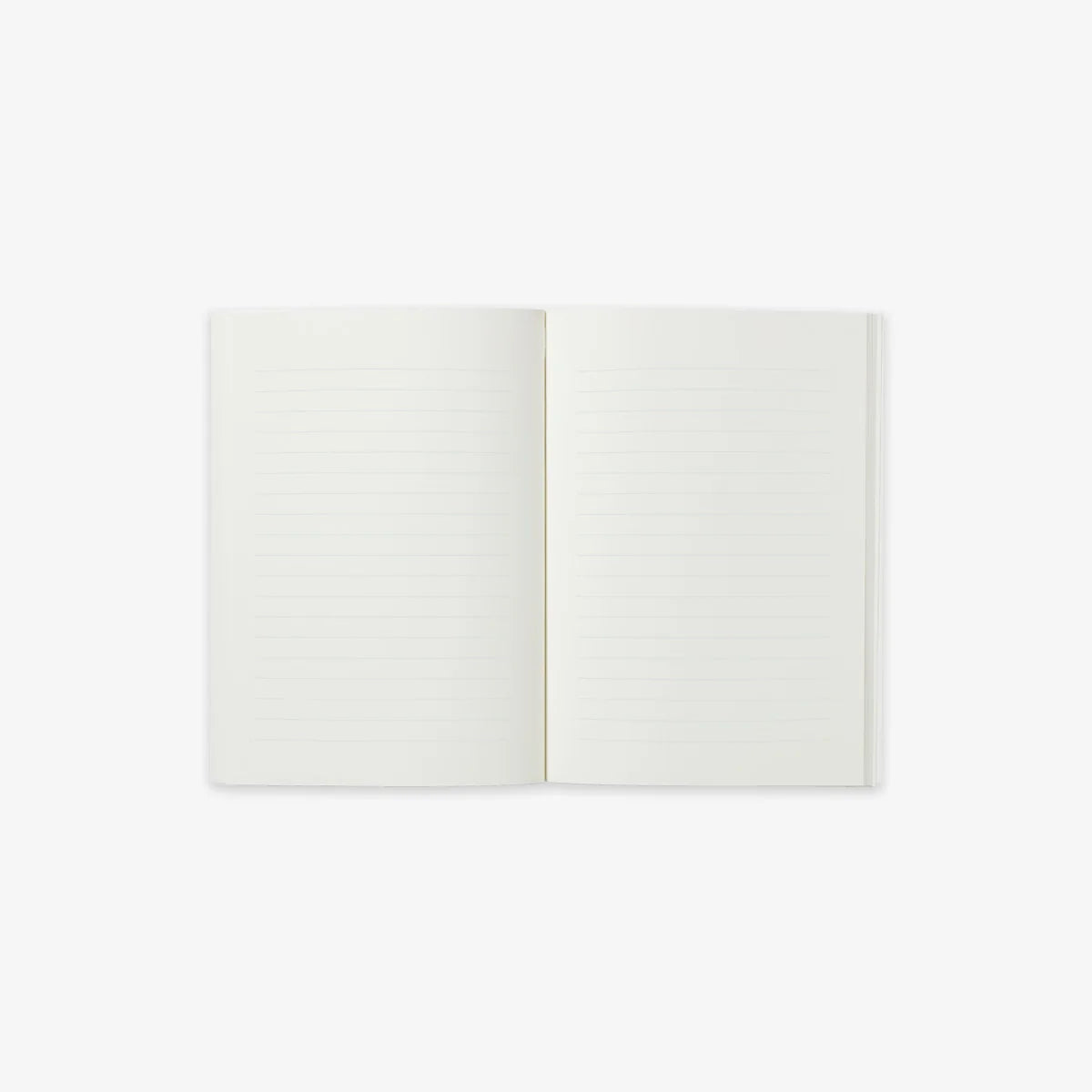 Pocket Notebook // Cats