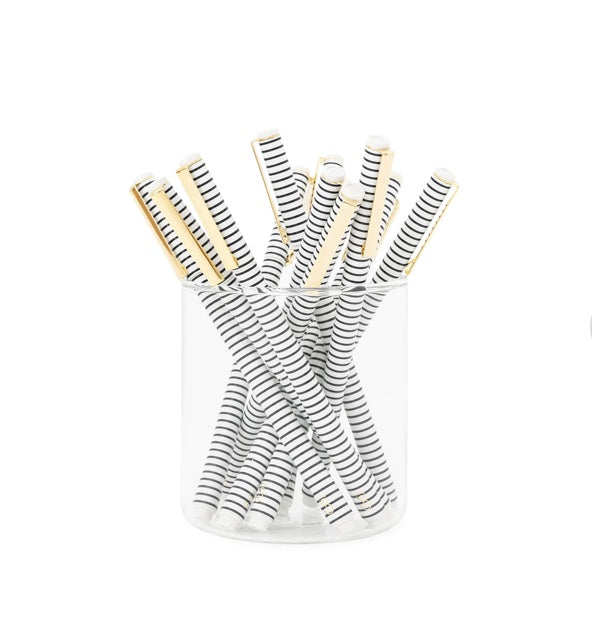 The Stripey Felt Pen Set